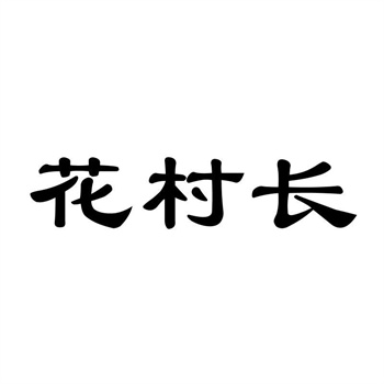 交易商標31類“E號衛士”詳解