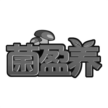深入了解：如何利用商標轉讓平臺網進行高效品牌資產配置